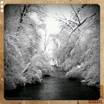River in the Springtime