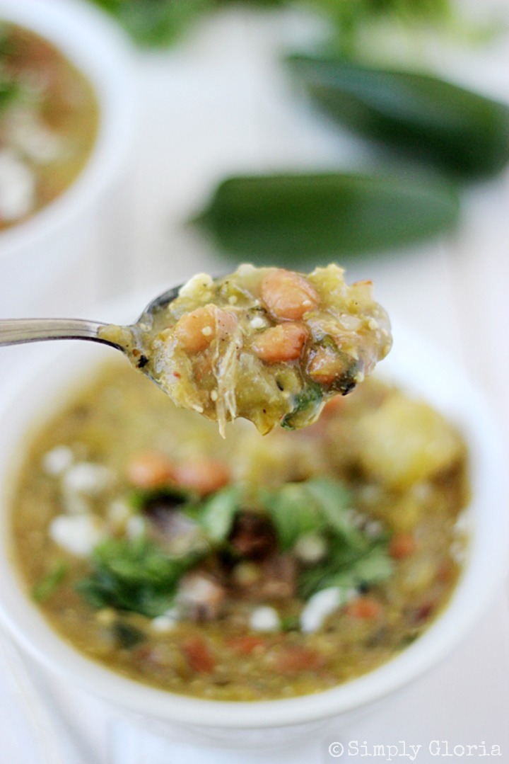 Pulled Pork Green Chili