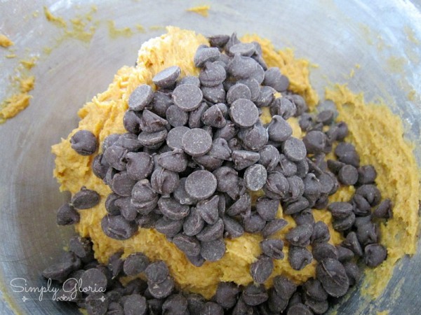 Pumpkin Chocolate Chip Cookies Ingredients6