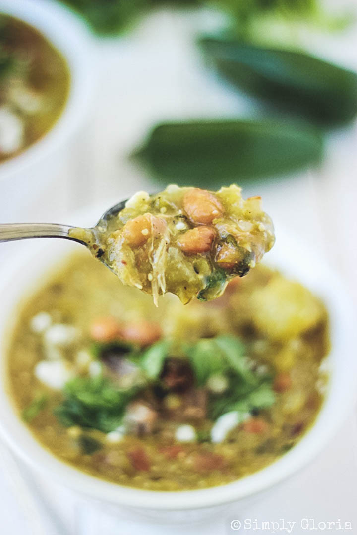 Pulled Pork Green Chili with SimplyGloria.com #chilis #beans
